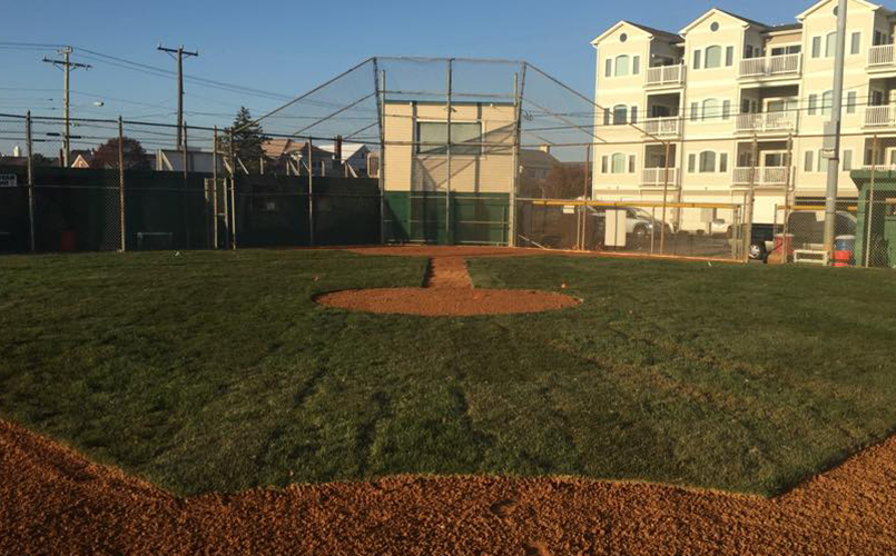 Field Renovations!